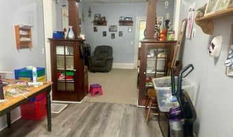 141 E Maple Ave, Adrian, MI 49221