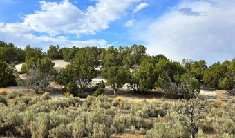 816 Hamilton Stage Rd, Elko, NV 89801