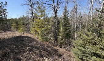 160 AC M32 W, Alpena, MI 49707