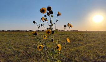5428 CR 364, Anson, TX 79501