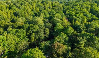 24 Joyful Spgs, Beattyville, KY 41311