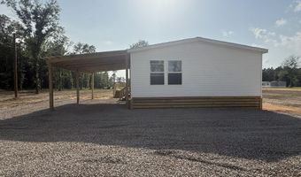 2038 SW Ceasar Trl, Bogue Chitto, MS 39629