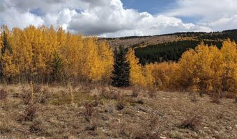 0 Snow Cap Peaks Rd, Alma, CO 80402