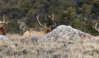 Tbd Gold Creek Way, Belfry, MT 59008