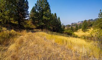 Summitview Dr, Ahsahka, ID 83520