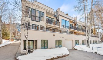 990 E Hopkins Ave, Aspen, CO 81611