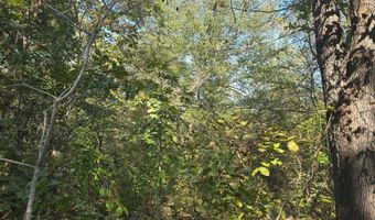 S80 Helt Rd, Antlers, OK 74525