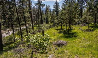 87 Rock Ridge Way, Bigfork, MT 59911