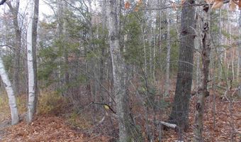 Mittenwald Strasse Road lot 49, Bartlett, NH 03812