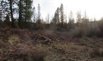Polar Bear Lane lot 4, Bonanza, OR 97623