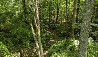 COUNTRY CREEK LN, Amissville, VA 20106