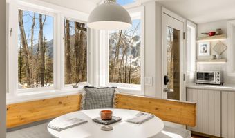 1036 Red Mountain Rd, Aspen, CO 81611