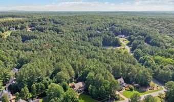 202 Saddlehorn, Ball Ground, GA 30107