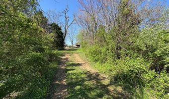 95 Terrafirma Ln, Ash Flat, AR 72513