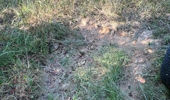 County Road 118, Annapolis, MO 63620