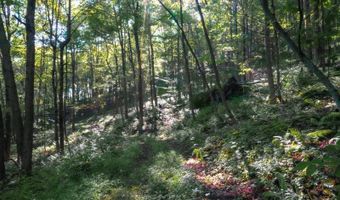 0 Pullim Hollow Rd, Addison, PA 15411