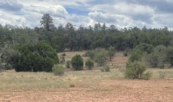1751 Forest Service Rd 163, Clay Springs, AZ 85923