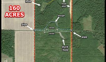 6075 Curtis Rd, Batesville, MS 38606