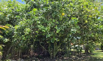 1084 APONO Pl, Hilo, HI 96720