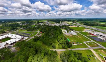 7 02 Acres Monroe E, Ashburn, GA 31714