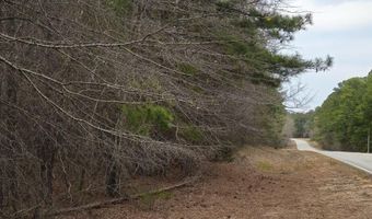 0 HWY 220, Lincolnton, GA 30817
