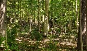 000 Maxey Rd, Arcadia, MI 49613