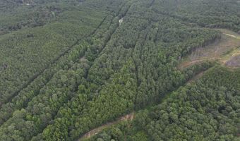 8501 Lawsontown Rd, Adger, AL 35444