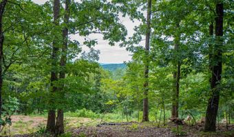 100 Block SPANISH MINE, Jessieville, AR 71909