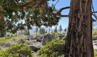 Kingsbury Grade, Gardnerville, NV 89460