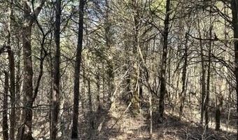 75 Ac CR 7031, Booneville, MS 38829