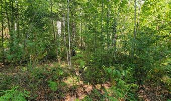 B-2BackLot Pioneer Path, Aurora, ME 04605