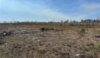 0 35.01 Acres Bacon School Rd, Alma, GA 31510