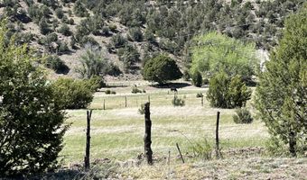 2664 Nm-12, Aragon, NM 87820