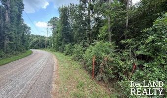 TBD-0 Yeldell Rd, Bastrop, LA 71220