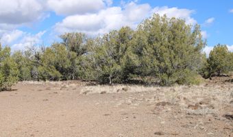 5079 N Pineveta Rd, Ash Fork, AZ 86320