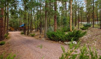 2 County Road 2081, Alpine, AZ 85920