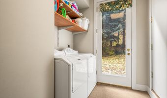 431 W Hopkins Ave, Aspen, CO 81611