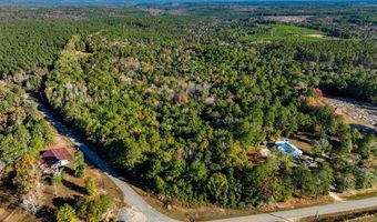 15 6+/- Acres Rose Hill Dozier Macedonia Rd, Andalusia, AL 36421