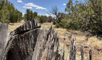 425 N 8051, Concho, AZ 85924