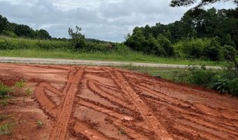 01 Parcel 2 County Road 6629, Banks, AL 36005