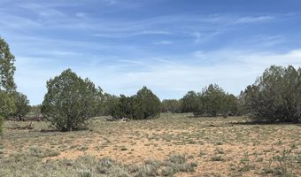 51 W Boiling Pot Rd, Ash Fork, AZ 86320