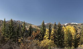 1036 Red Mountain Rd, Aspen, CO 81611