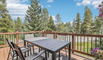 349 PARK FOREST Dr, Breckenridge, CO 80424