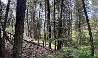 Tbd Hilltop Road 43 & 44, Cascade, ID 83611