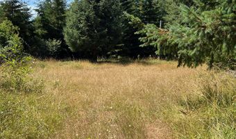 20452 WHALESHEAD Rd, Brookings, OR 97415