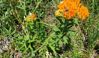 4775 S 50th Rd, Aldrich, MO 65601