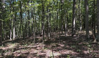 5 05 AC HOY Rd, Augusta, WV 26704