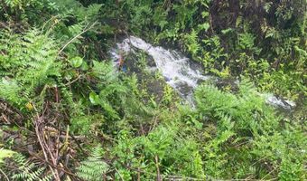 1360 Kaumana Dr, Hilo, HI 96720