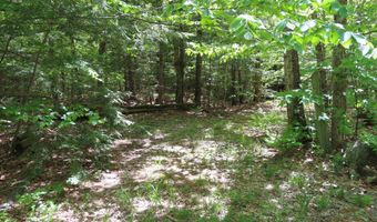 Jesus Valley Road lot 5-2-1, Alton, NH 03810