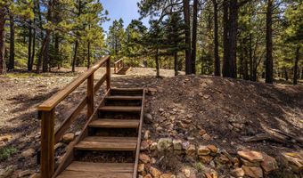 253 Saladon Rd, Angel Fire, NM 87710